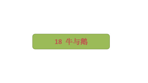 部编版语文四年级上册18《牛和鹅》课件(共17张PPT)