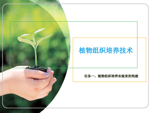 植物组织培养技术1-任务一 植物组织培养实验室的构建