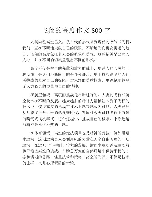 飞翔的高度作文800字