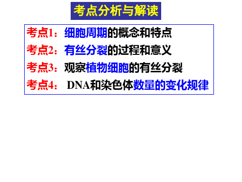 第10讲有丝分裂一轮复习课件