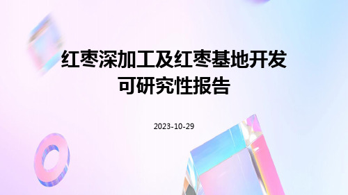 红枣深加工及红枣基地开发可研究性报告