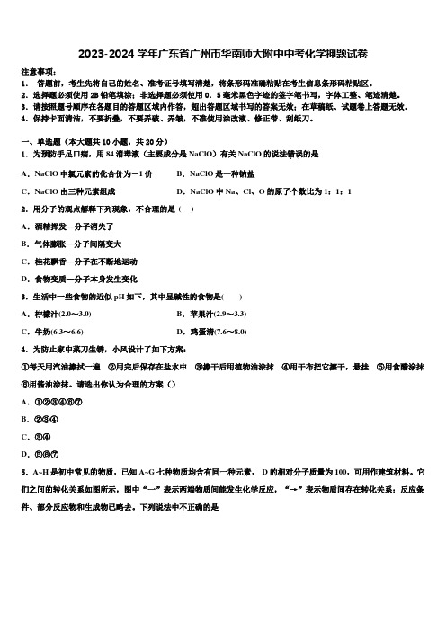 2023-2024学年广东省广州市华南师大附中中考化学押题试卷含解析