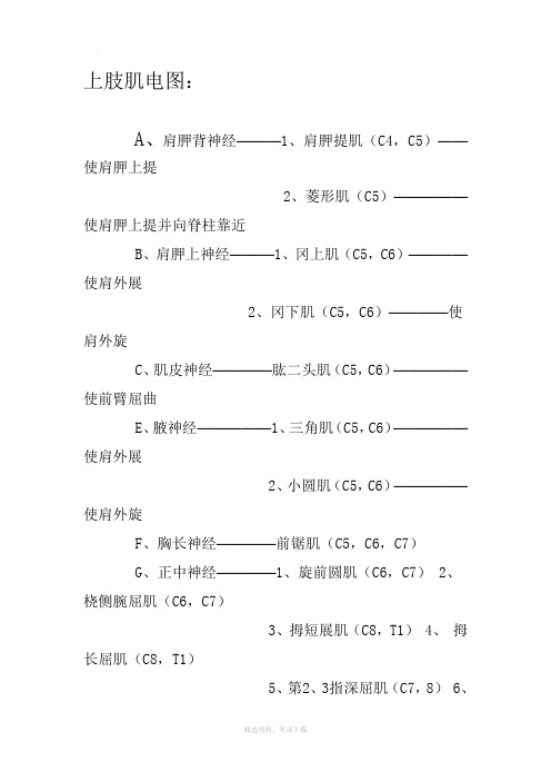 肌肉名称功能及神经支配