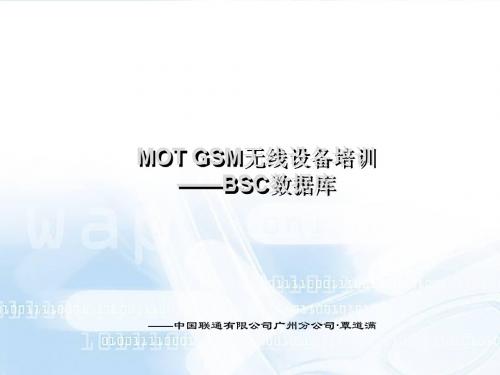 05-MOTGSM无线内部培训讲义-BSC数据库技术