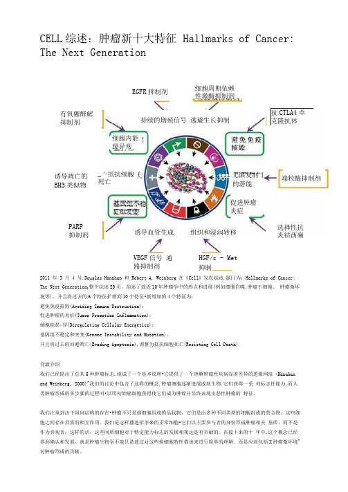 肿瘤新十大特征解析