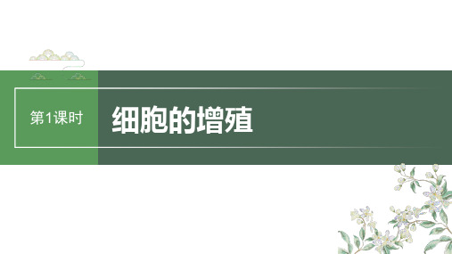 2024届高考一轮复习生物课件(苏教版)：细胞的增殖