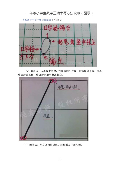 一年级小学生数字正确书写方法攻略(图示)