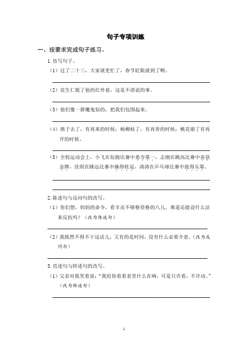 2023年部编版六年级下册语文句子专项训练(含参考答案)