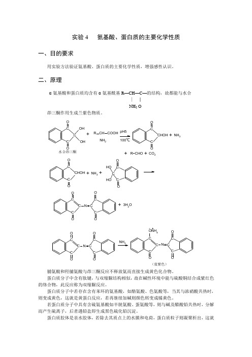 实验4   氨基酸