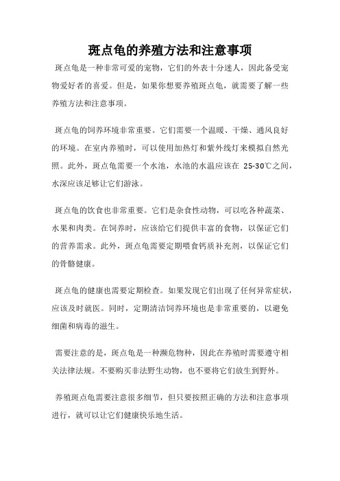 斑点龟的养殖方法和注意事项