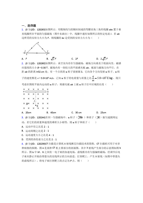 新人教版高中物理选修二第一章《安培力与洛伦兹力》检测题(包含答案解析)