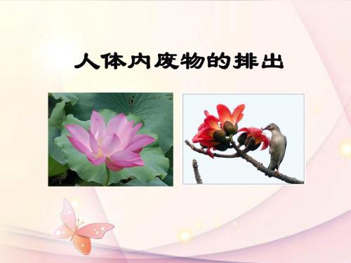 七年级生物下册 第三单元 第四章 人体内废物的排出课件 济南版