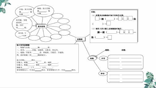 济南版生物学中考复习系统复习2观察生物结构(27页)