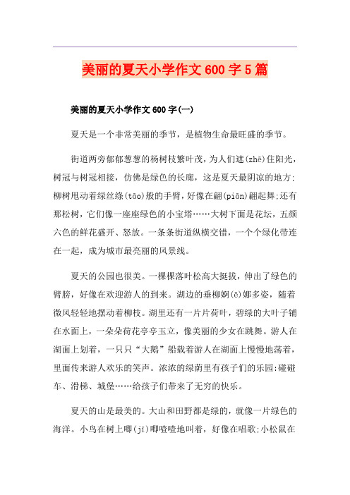 美丽的夏天小学作文600字5篇