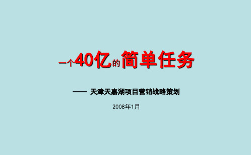 天津某地产项目营销战略策划(ppt 228页)