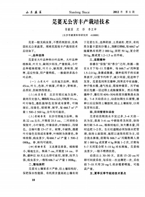 芫荽无公害丰产栽培技术