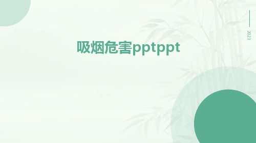 吸烟危害PPTppt