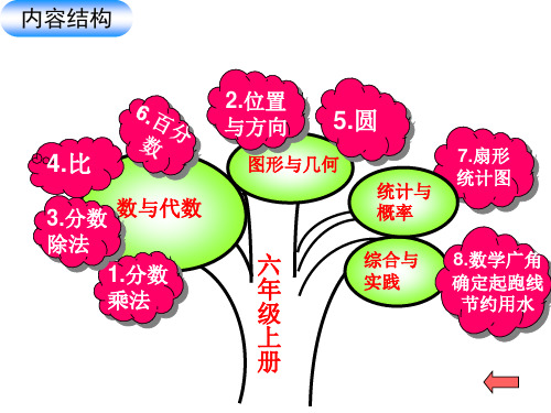 六年级数学上册思维导图知识树