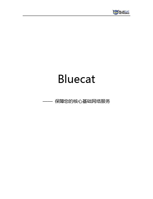 BluecatSolution解决方案