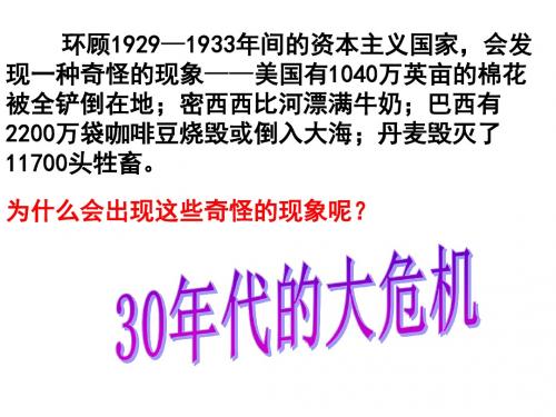 【历史课件】30年代的大危机课件