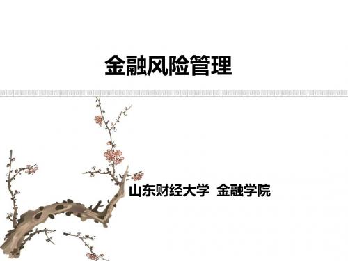 金融风险管理培训课件(PPT 94张)