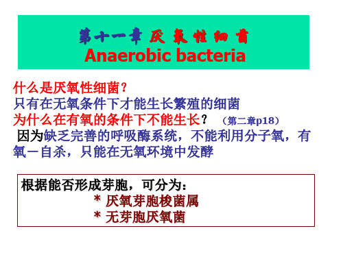第十一章-厌氧菌