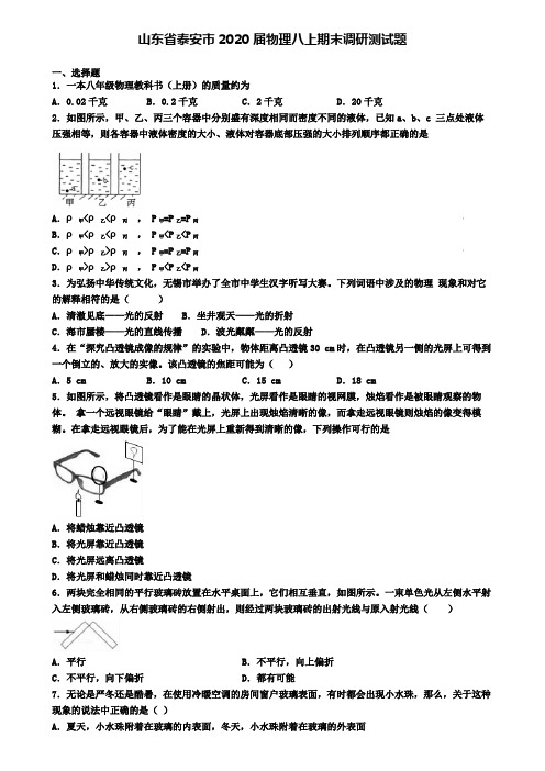 山东省泰安市2020届物理八上期末调研测试题