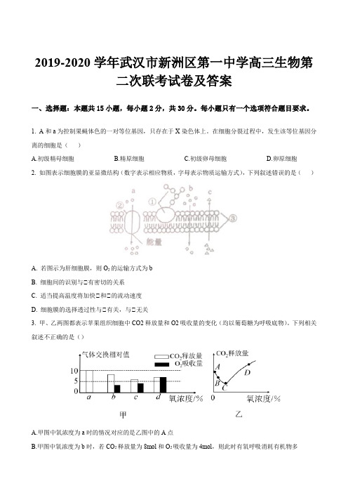 2019-2020学年武汉市新洲区第一中学高三生物第二次联考试卷及答案