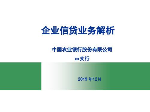 农业银行企业信贷业务-精品文档