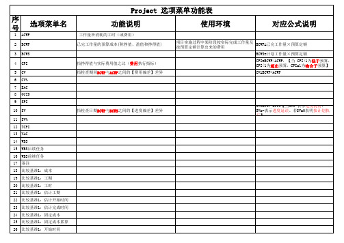 Project 选项菜单功能表说明