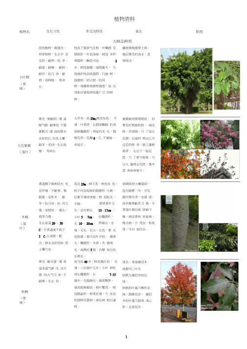 南方大树品种类