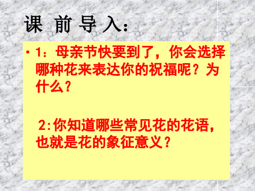 第三课心灵的慰藉和寄托——宗教建筑 (6)