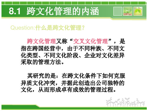 第八章跨文化管理共42页文档