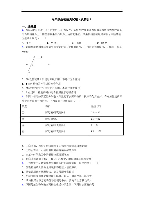 九年级生物经典试题(及解析)