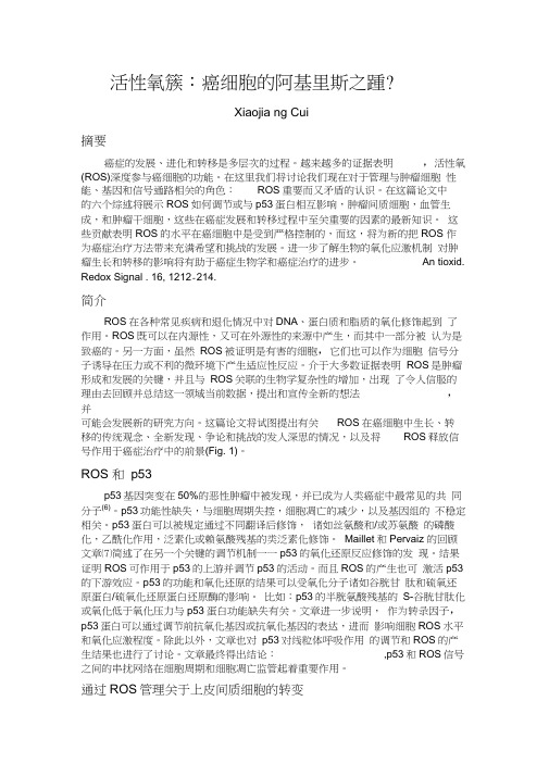 活性氧簇：癌细胞的阿基里斯之踵？