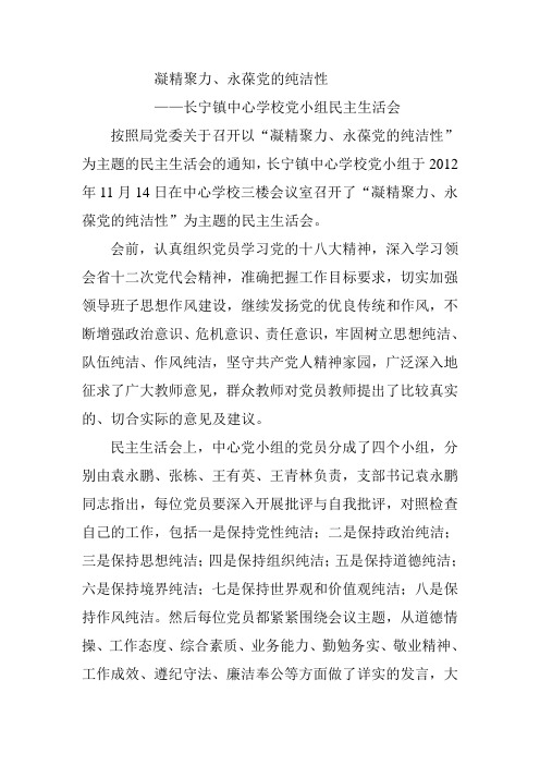 凝精聚力永葆党的纯洁性简报