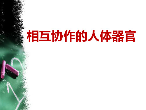 教科版四年级上册科学《相互协作的人体器官》我们的身体PPT说课教学