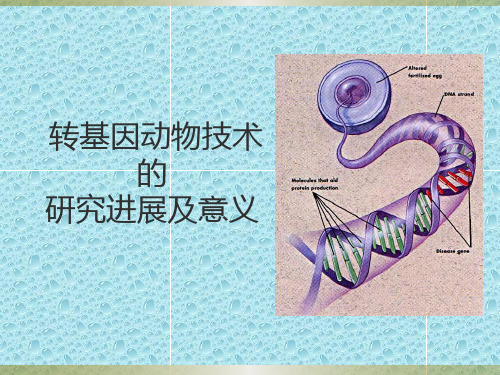 转基因动物技术的研究进展及意义