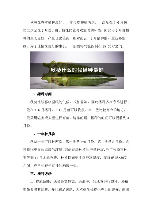 秋葵什么时候播种最好,秋葵一年种几次