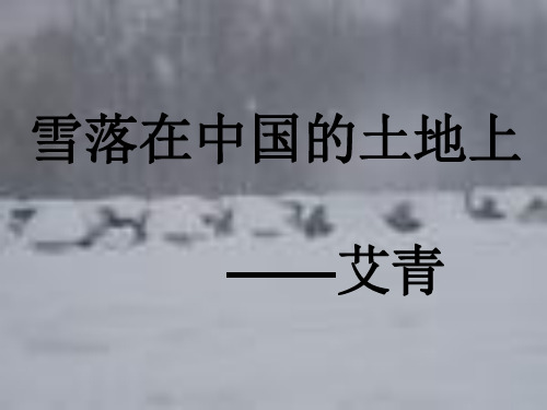 雪落在中国的土地上