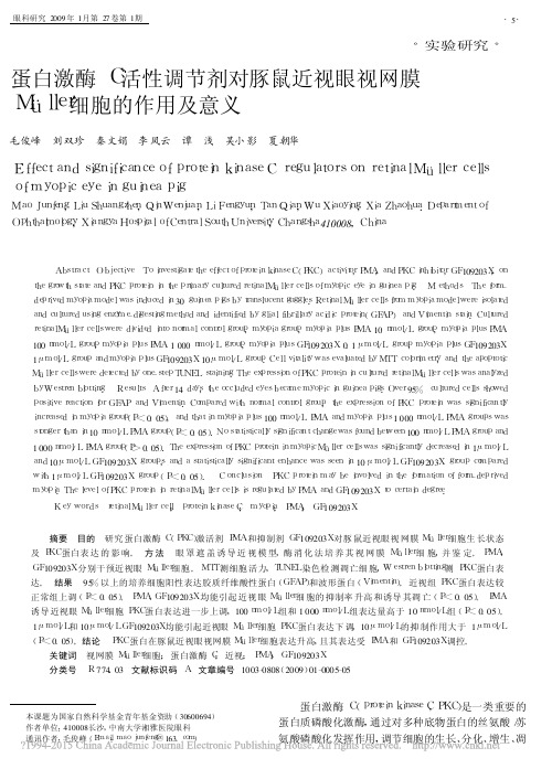 蛋白激酶C活性调节剂对豚鼠近视眼_省略_网膜M_ller细胞的作用及意义_毛俊峰