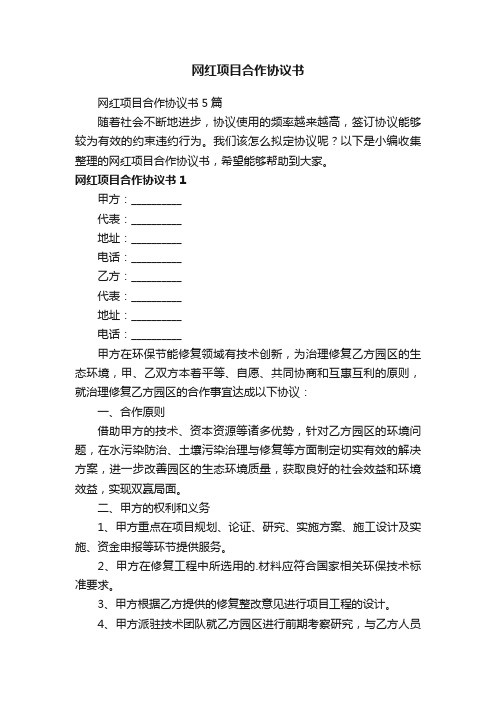 网红项目合作协议书5篇