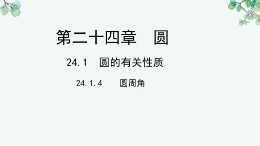 24.1.4 圆周角 课件  2024—2025学年人教版数学九年级上册