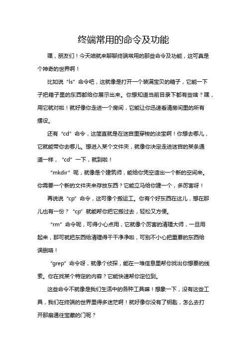 终端常用的命令及功能