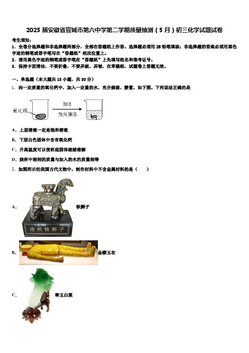 2025届安徽省宣城市第六中学第二学期质量抽测(5月)初三化学试题试卷含解析