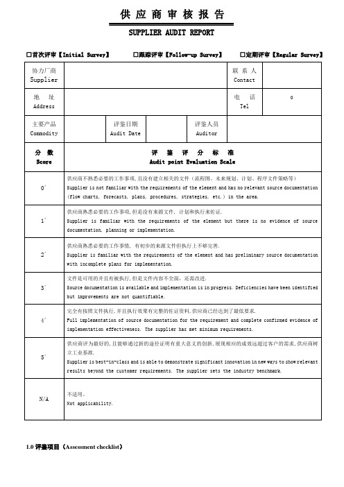 供应商审核报告