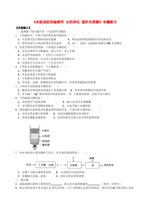 中考化学总复习《水组成的实验探究 水的净化 爱护水资源》专题练习(含解析)