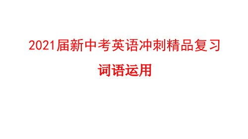 2021届新中考英语冲刺精品复习 词语运用