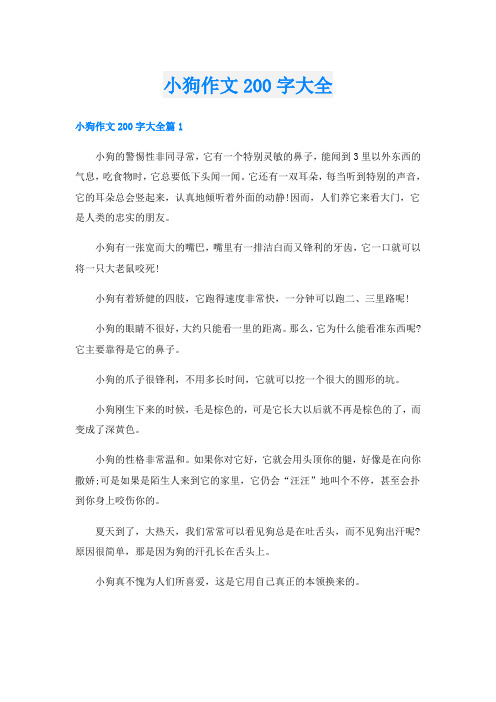 小狗作文200字大全