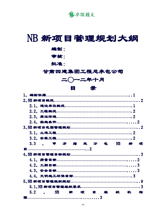卓顶精文NB新项目管理规划大纲.doc